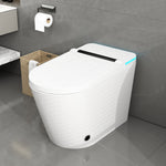 One-piece Smart Toile for Bathrooms with Auto Flush-470005