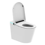 One-piece Smart Toile for Bathrooms with Auto Flush-470005